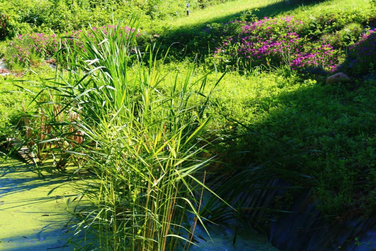 Domaine Les Causeries Laguepie ภายนอก รูปภาพ